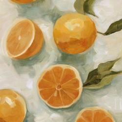 Fresh Citrus I | Obraz na stenu
