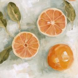 Fresh Citrus II | Obraz na stenu