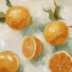 Fresh Citrus IV | Obraz na stenu