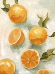 Fresh Citrus V | Obraz na stenu
