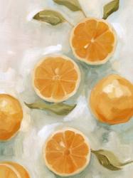 Fresh Citrus VI | Obraz na stenu