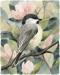 Veiled Aviary I | Obraz na stenu