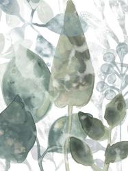Aquatic Leaves II | Obraz na stenu