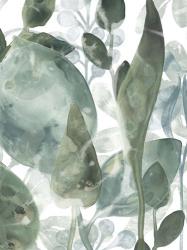 Aquatic Leaves IV | Obraz na stenu