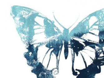Butterfly Imprint I | Obraz na stenu