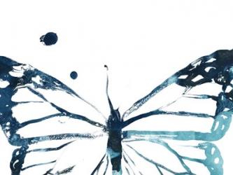 Butterfly Imprint III | Obraz na stenu