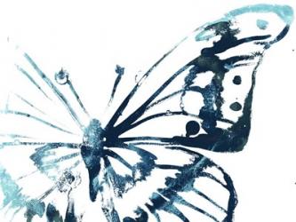 Butterfly Imprint V | Obraz na stenu