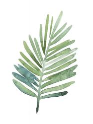 Untethered Palm V | Obraz na stenu