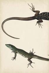 Lizard Diptych I | Obraz na stenu