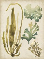 Vintage Sea Fronds III | Obraz na stenu