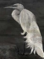 Textured Egret I | Obraz na stenu