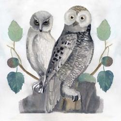Traditional Owls I | Obraz na stenu