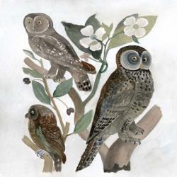 Traditional Owls II | Obraz na stenu