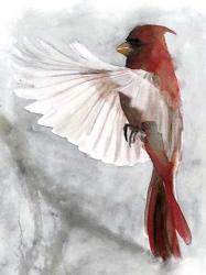 Cardinals II | Obraz na stenu