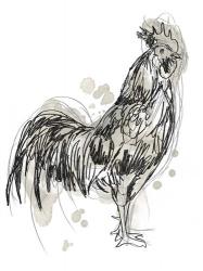 Feathered Fowl III | Obraz na stenu