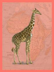 African Animals on Coral I | Obraz na stenu