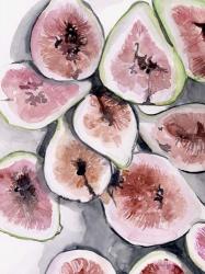 Fruit Slices II | Obraz na stenu