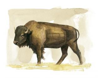 Bison Watercolor Sketch II | Obraz na stenu