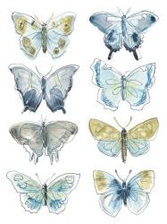 Butterfly Blues I | Obraz na stenu