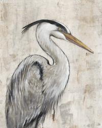 Grey Heron I | Obraz na stenu