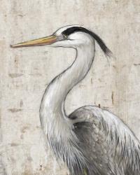 Grey Heron II | Obraz na stenu