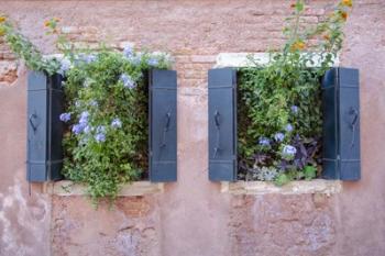 Italian Window Flowers II | Obraz na stenu