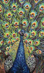 Lavish Peacock II | Obraz na stenu