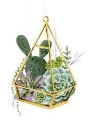 Wild Terrarium I | Obraz na stenu