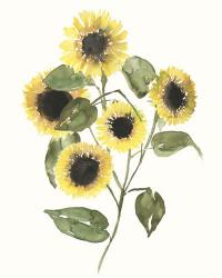 Sunflower Composition II | Obraz na stenu