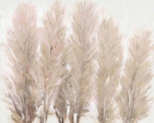 Pampas Grass I | Obraz na stenu