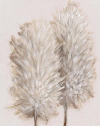 Pampas Grass III | Obraz na stenu