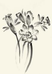 Ink Wash Floral I - Daffodils | Obraz na stenu