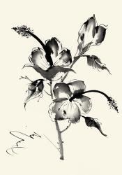 Ink Wash Floral III - Hibiscus | Obraz na stenu