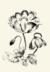 Ink Wash Floral IV - Poppy | Obraz na stenu