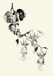 Ink Wash Floral VIII - Fuchsia | Obraz na stenu