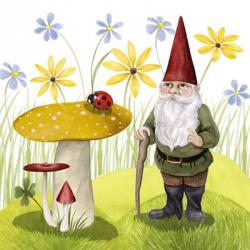 Gnome Neighbors IV | Obraz na stenu