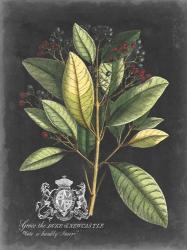 Royal Foliage IV | Obraz na stenu