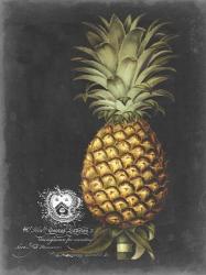 Royal Brookshaw Pineapple I | Obraz na stenu
