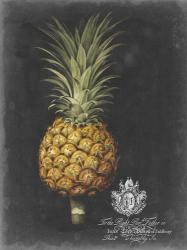 Royal Brookshaw Pineapple II | Obraz na stenu