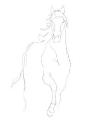 Horse Contour I | Obraz na stenu