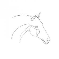 Equine Pencil Contour II | Obraz na stenu