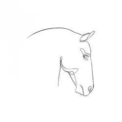 Equine Pencil Contour IV | Obraz na stenu
