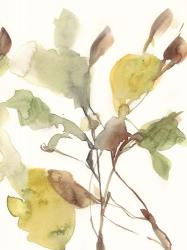 Ebbing Leaves II | Obraz na stenu