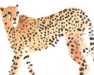 Majestic Cheetah II | Obraz na stenu