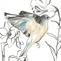 Songbird Meadow I | Obraz na stenu