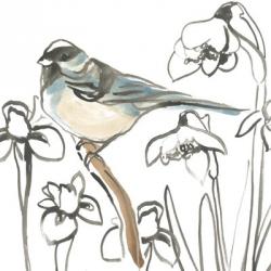 Songbird Meadow II | Obraz na stenu