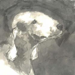 Sepia Modern Dog I | Obraz na stenu