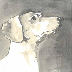 Sepia Modern Dog IV | Obraz na stenu