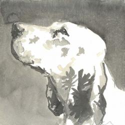 Sepia Modern Dog V | Obraz na stenu