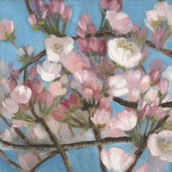 Cherry Blossoms I | Obraz na stenu